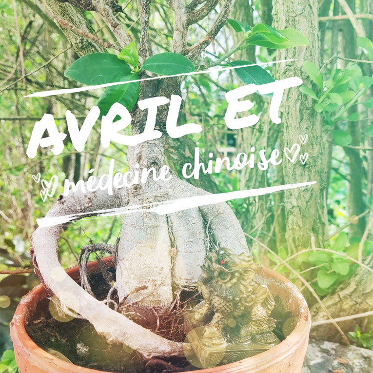 Médecine chinoise mois par mois