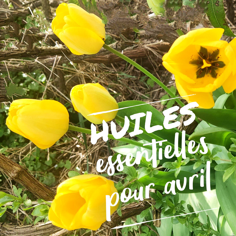 huiles essentielles pour le mois d'avril