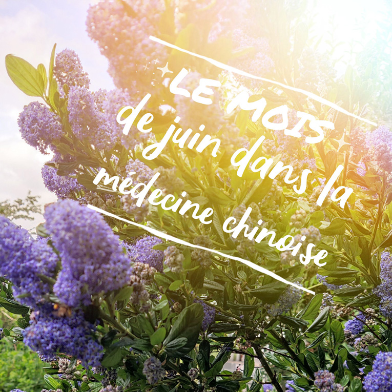 Médecine chinoise mois de juin 2021