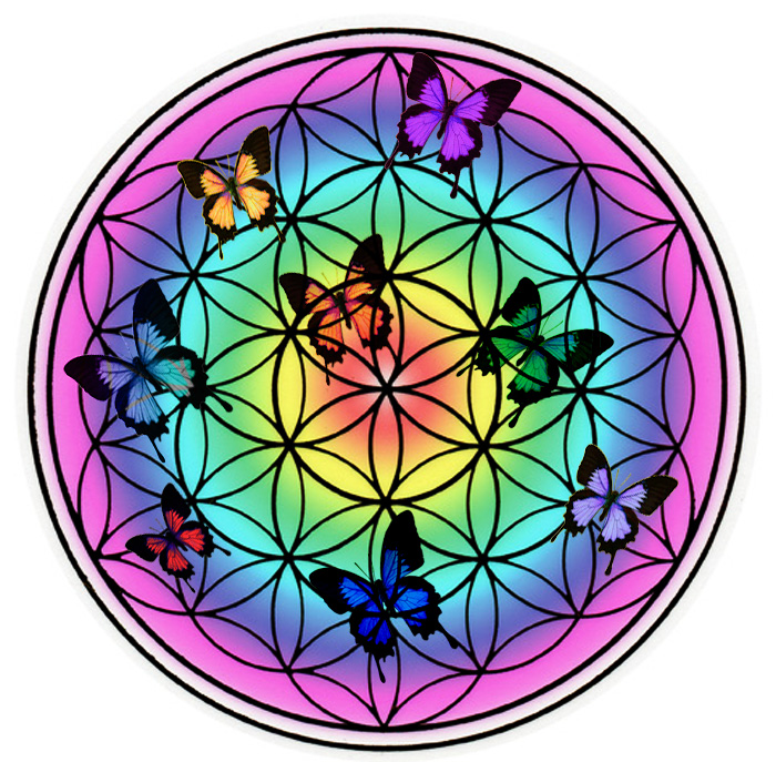 Test du papillon, fleur de vie et aromathérapie