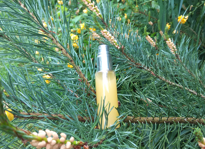 Recette de parfum aux notes orientales, épicées et boisées Abondance