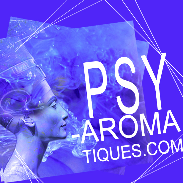 psy-aromatiques mélanges aromatiques d'huiles essentielles pour rééquilibré les chakras 