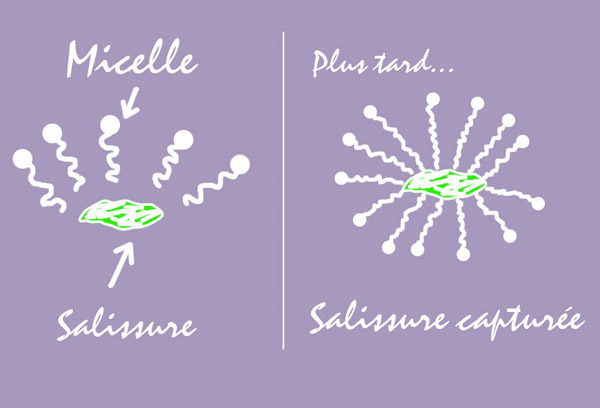 Comment le savon lave