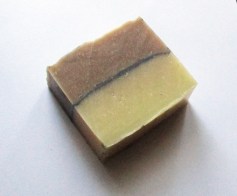 Shampoing bio solide