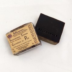 Shampoing Goudron de pin